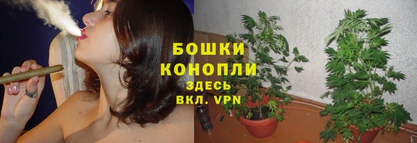 сатива Вязьма