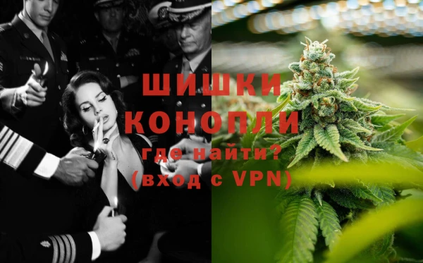 сатива Вязьма