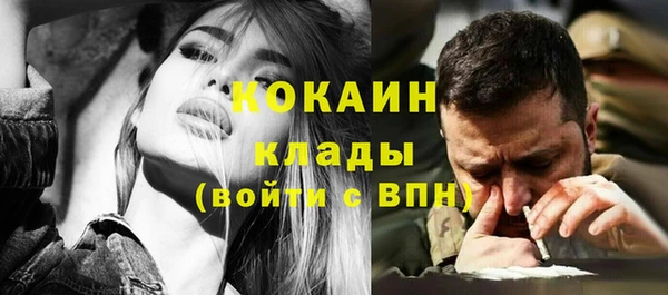 mix Вяземский