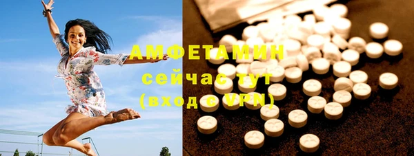 сатива Вязьма