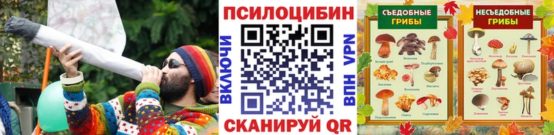 Галлюциногенные грибы Psilocybe  Купить  Нальчик 
